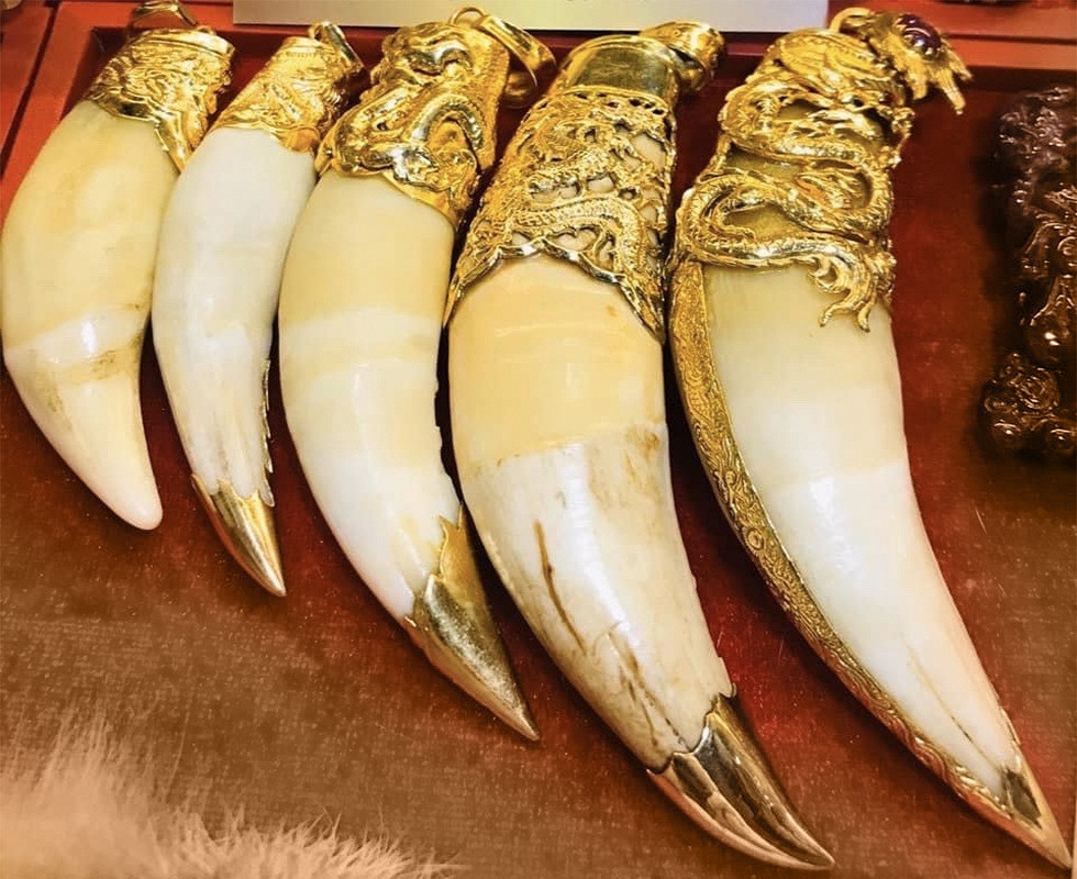 Thủ thuật phù phép cao hổ, thu lời tiền tỷ qua tiết lộ của một trùm buôn - 19