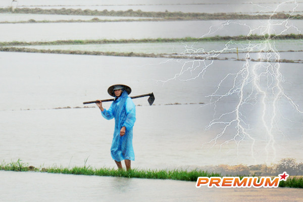 Liên tiếp các vụ tử vong do sét, nguy hiểm rình rập và sự chủ quan