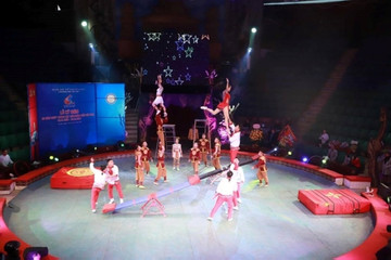 Hanoi to host international circus festival this December