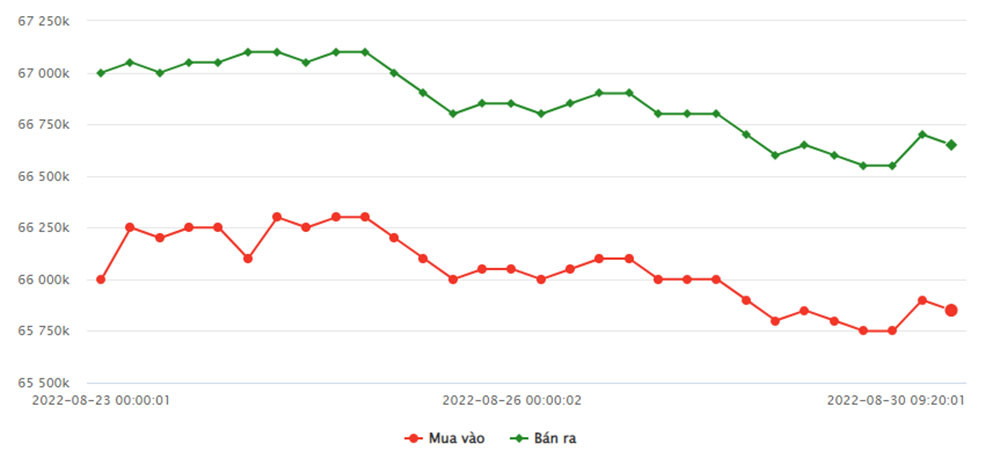 bieu-do-gia-vang-sjc-tu-ngay-23-08-2022-den-ngay-30-08-2022