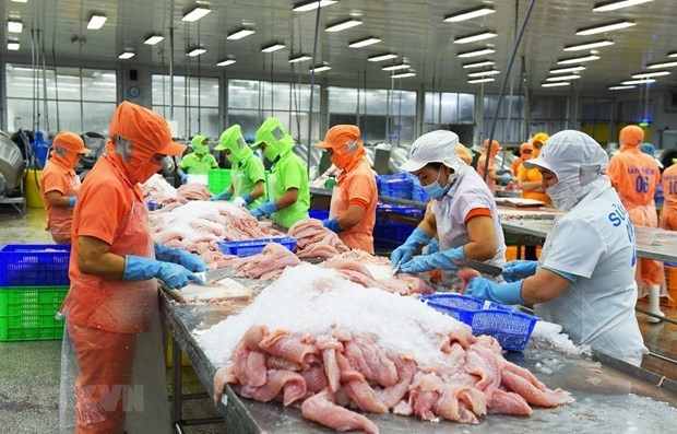 Vietnam reports trade surplus of nearly 4 billion USD in eight months hinh anh 2
