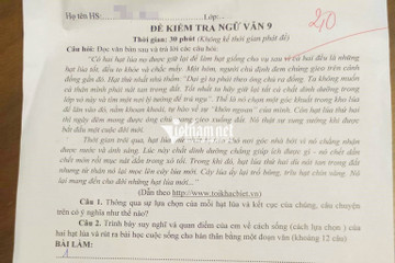 Người mẹ vui vẻ đón nhận bài văn 2 điểm của con