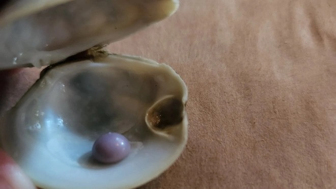 Chơi ở bờ sông, nhóm học sinh vô tình tìm thấy ngọc siêu hiếm trong con hến - 2