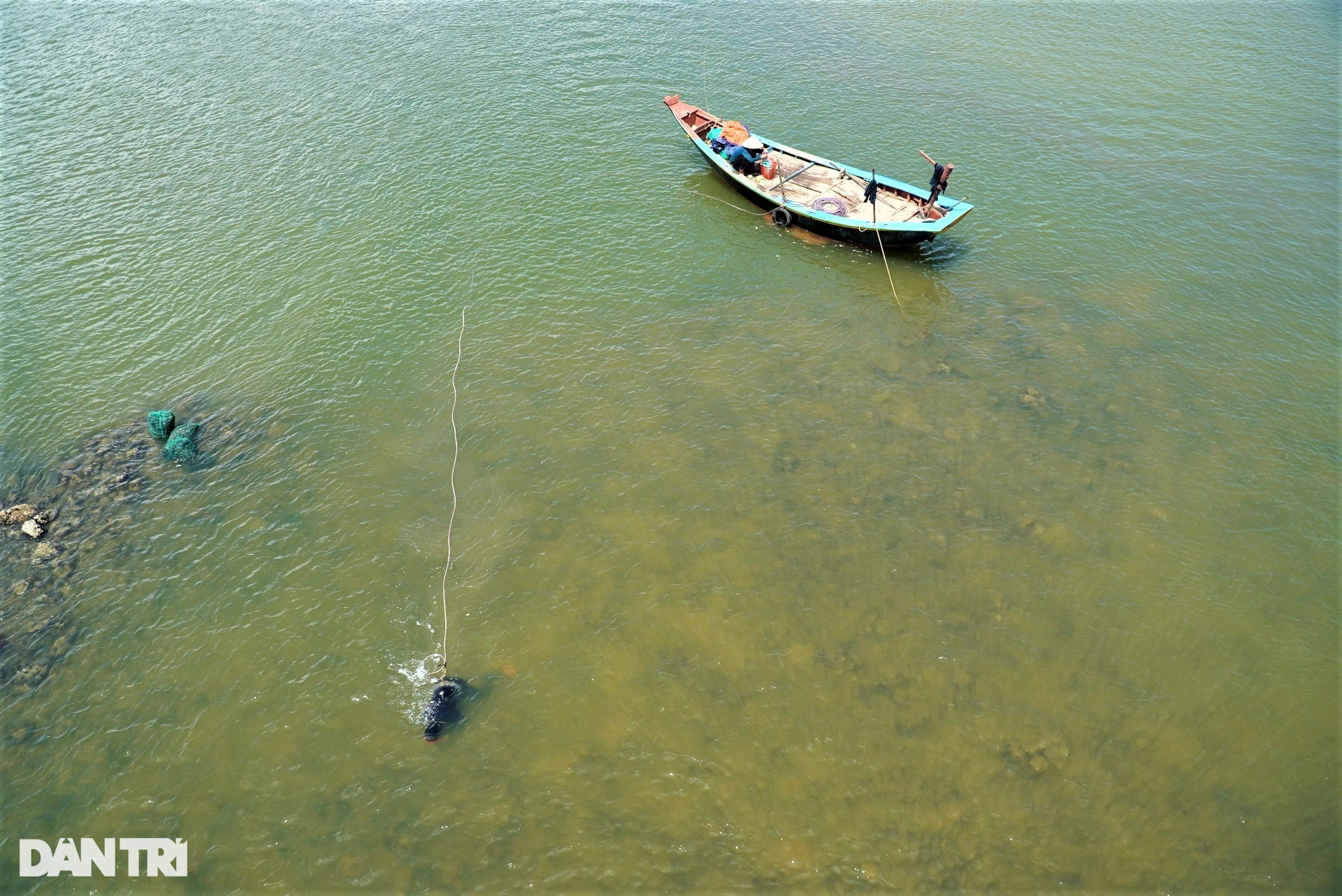 Săn thức ăn cho tôm hùm, kiếm tiền triệu mỗi ngày - 4
