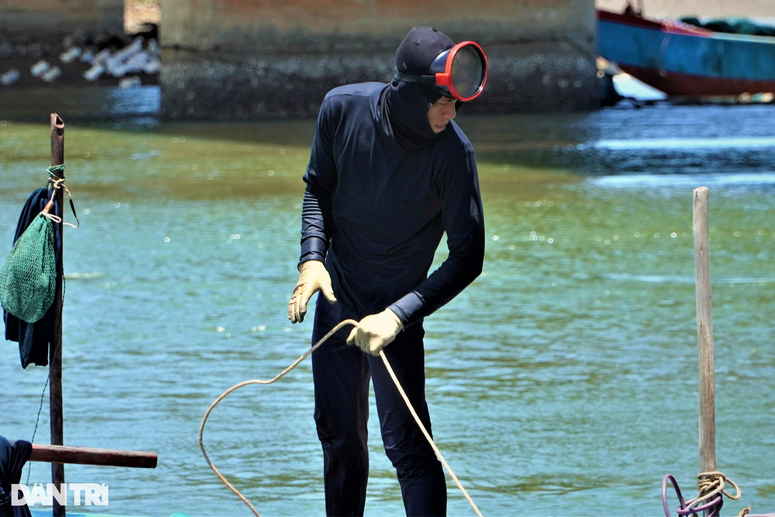 Săn thức ăn cho tôm hùm, kiếm tiền triệu mỗi ngày - 2