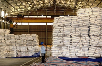 Tariff quota auction for sugar to take place next month