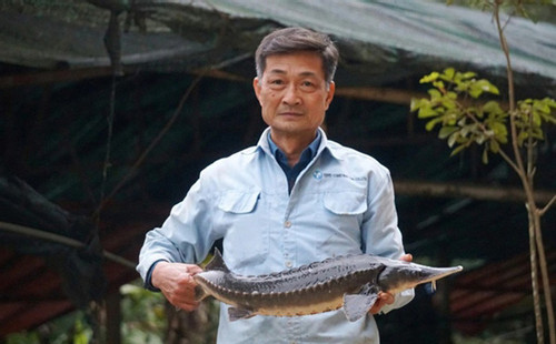 Cold-water fish breeder in Thanh Hoa earns a high profit
