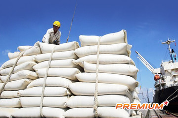 Xuất khẩu gạo của Việt Nam tăng kỷ lục