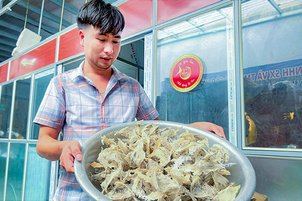 Chàng trai chán làm thuê, về quê nuôi chim yến thu tiền tỷ