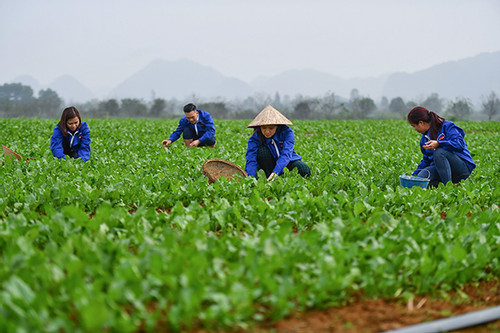 Người dân sống ở vùng này thu nhập cao nhất cả nước