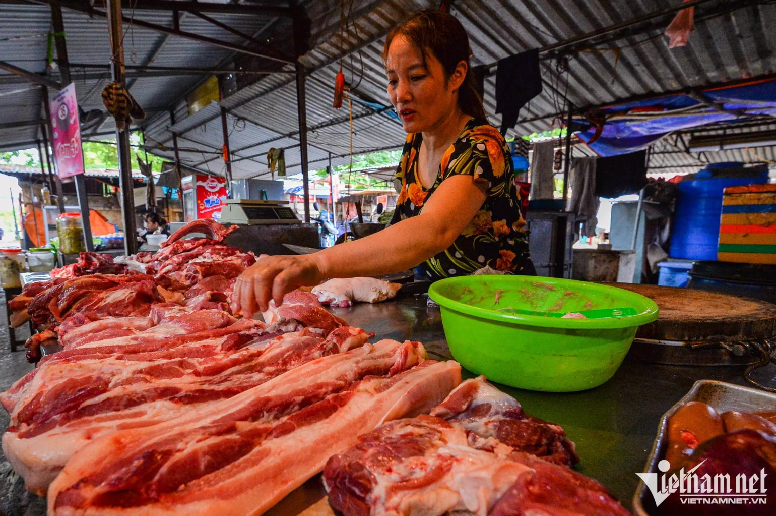 Feed prices rise, but pig prices fall as farmers incur losses