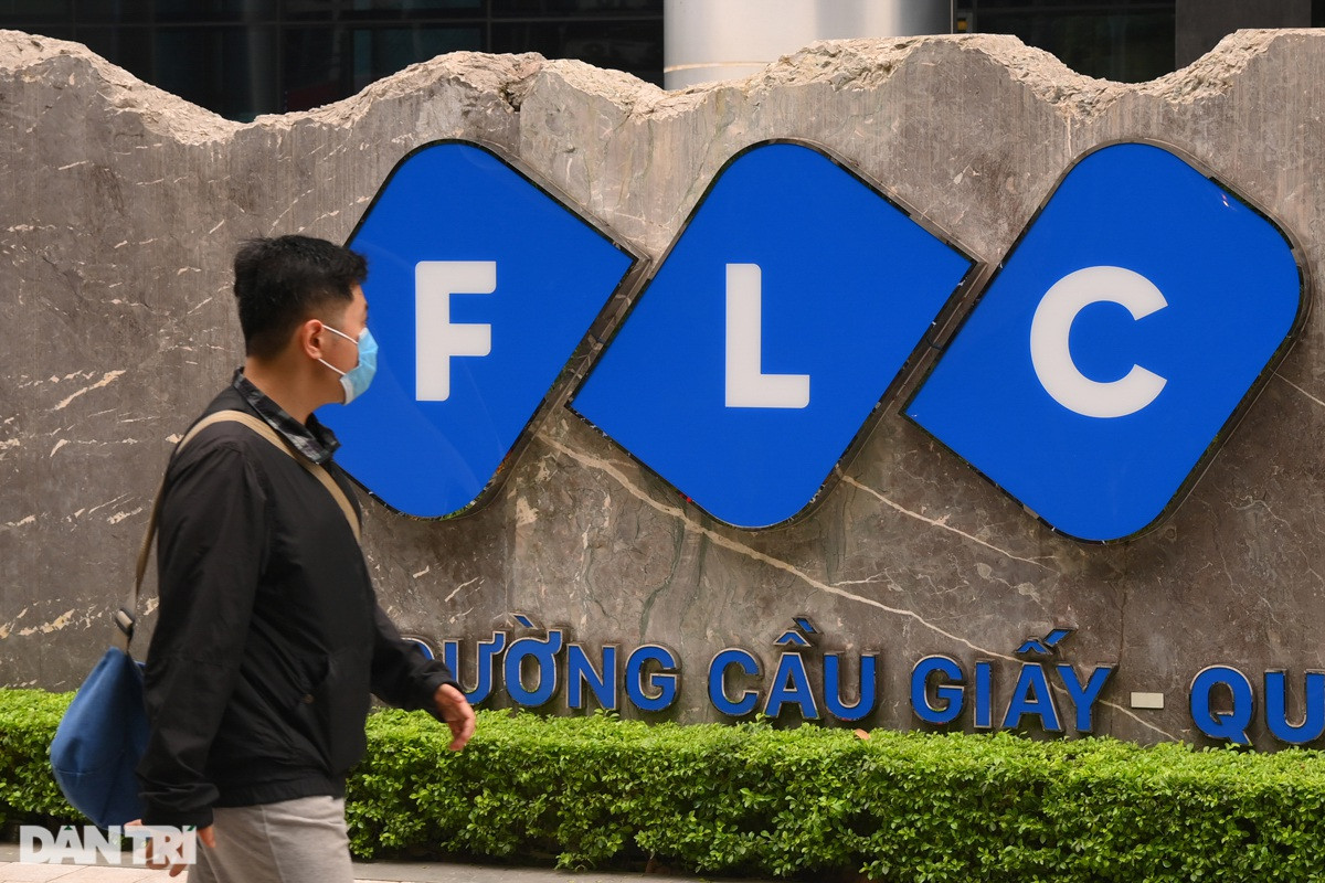 Bất ngờ ngoài FLC, Louis Holdings, còn bàn tay khác thao túng cổ phiếu - 1