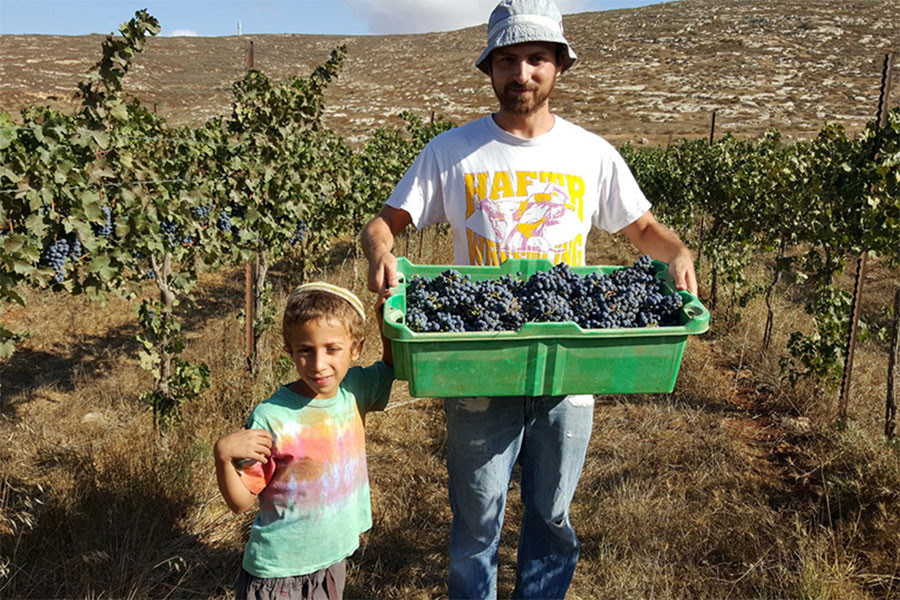 Người Do Thái dạy trẻ con làm nông nghiệp, trở thành những thanh niên biết làm giàu