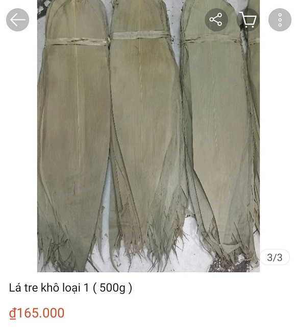 Lá mọc hoang rụng bỏ đi, giờ xuất khẩu, giá bán lên tới cả trăm nghìn mỗi kg - Ảnh 1.