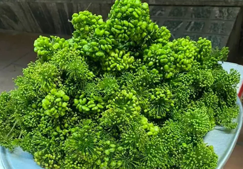 Loại hoa đặc biệt 8 triệu đồng/kg, loại bánh rẻ bèo 4 nghìn đồng/chiếc