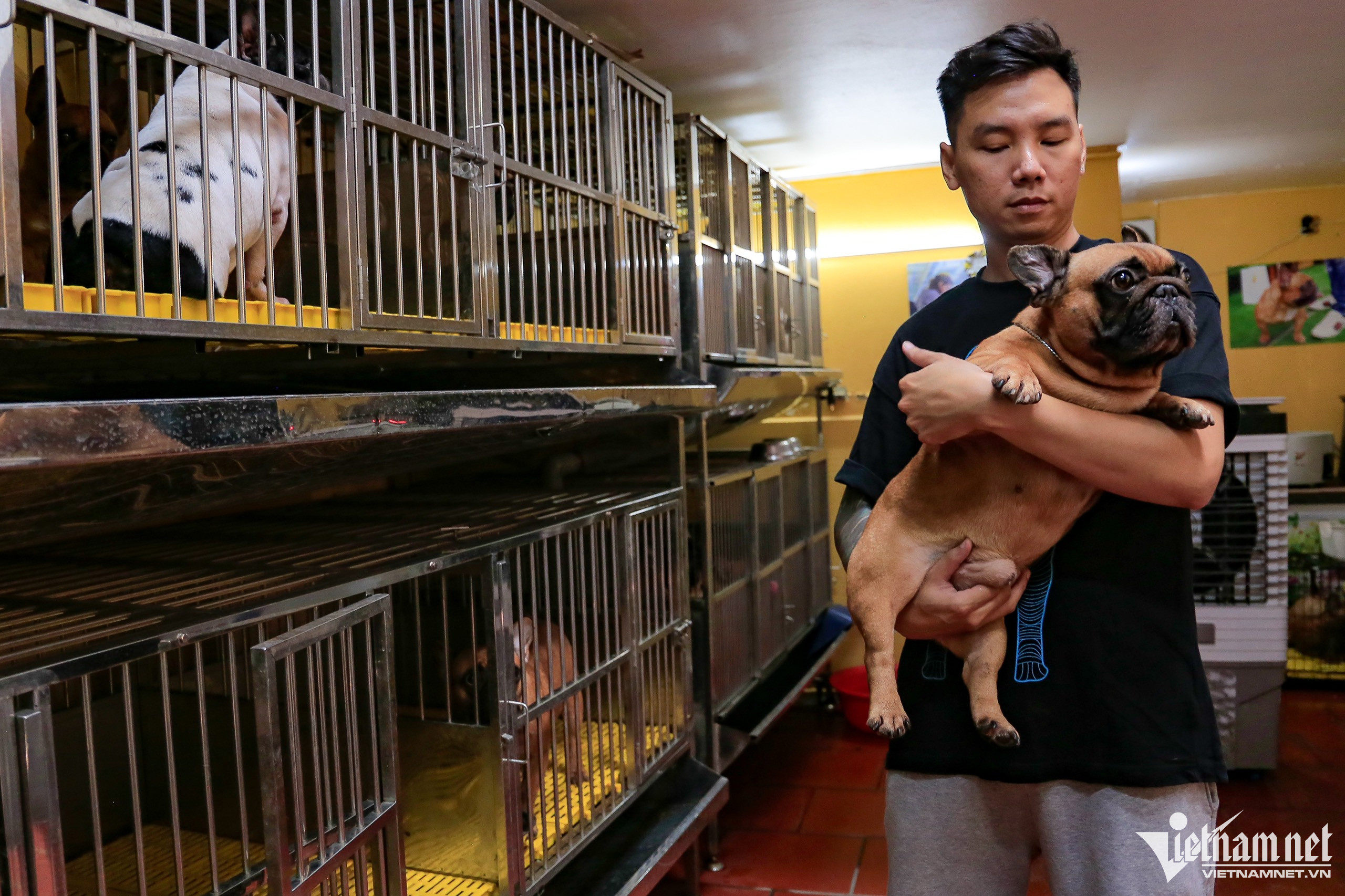 Top 4 Trang trại nuôi Chó lớn nhất Việt Nam 2023  GiaNongSan