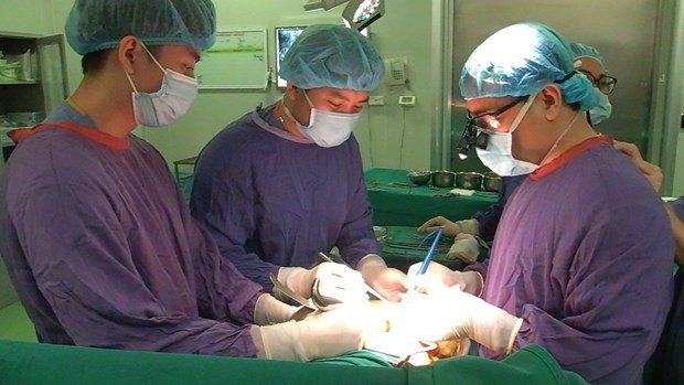 About 6,500 organ transplants conducted nationwide in 30 years