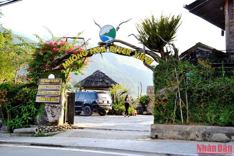 Beautiful rice terraced fields in Sa Pa ảnh 10