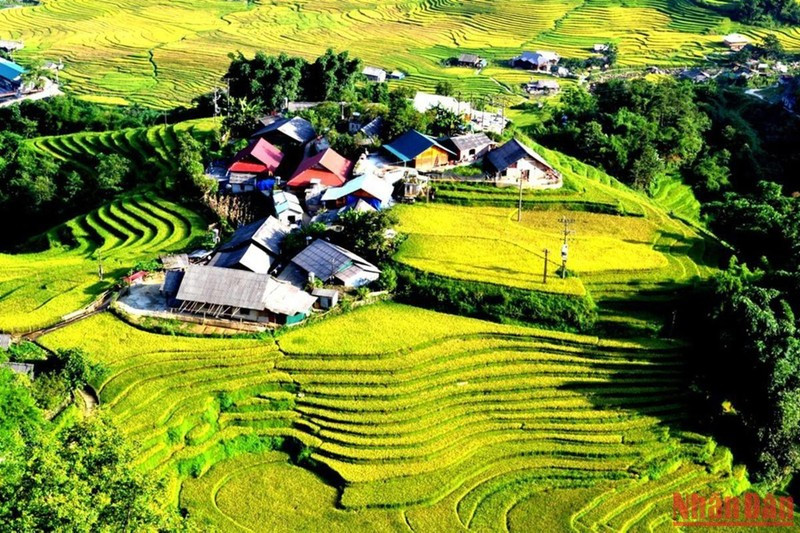 Beautiful rice terraced fields in Sa Pa ảnh 1