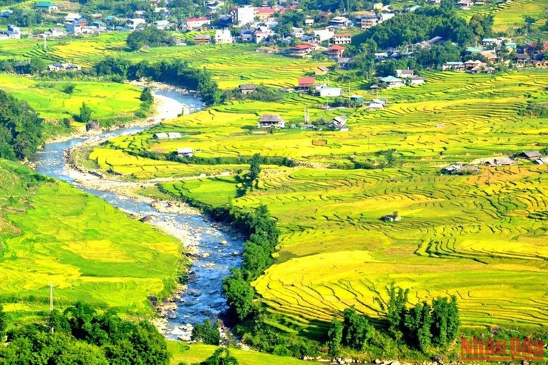 Beautiful rice terraced fields in Sa Pa ảnh 3