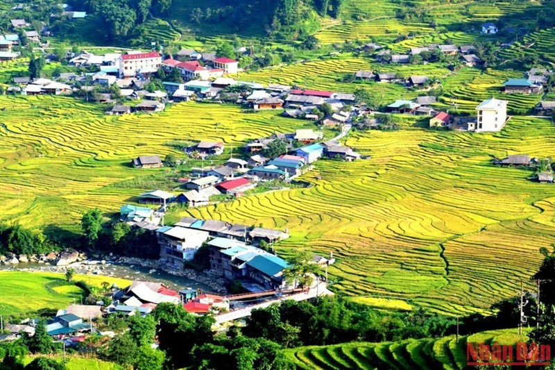 Beautiful rice terraced fields in Sa Pa ảnh 2