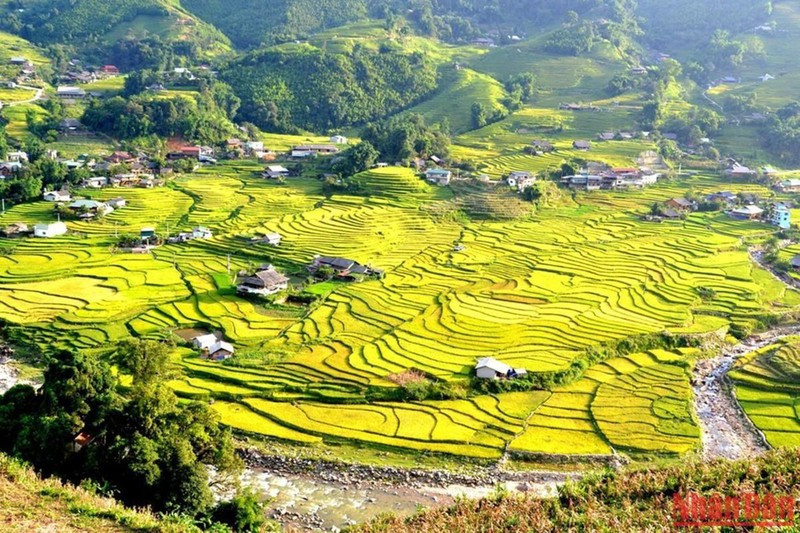 Beautiful rice terraced fields in Sa Pa ảnh 5