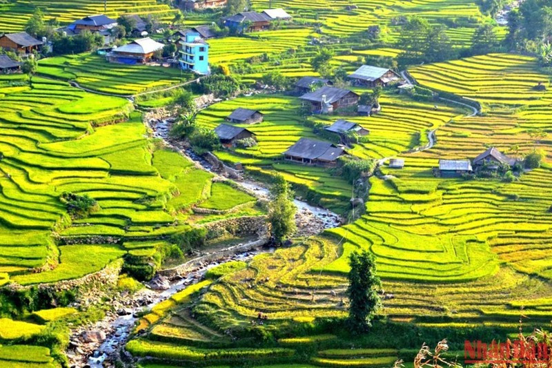 Beautiful rice terraced fields in Sa Pa ảnh 8