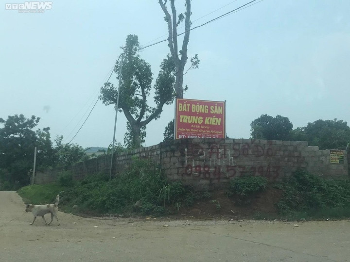 Cái kết thảm khi chạy theo ‘giấc mơ tỷ phú’ nhờ bán đất - 2