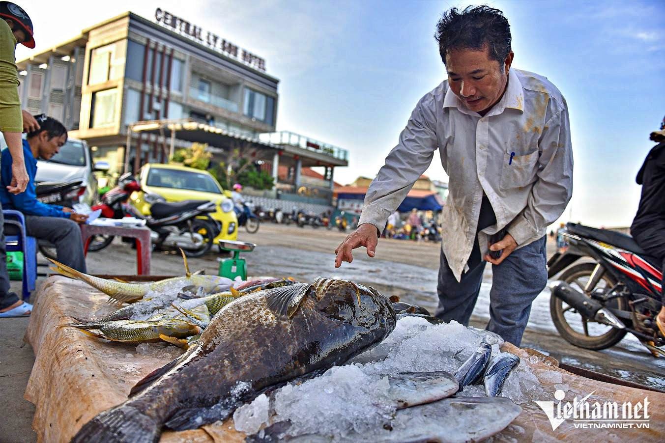 Đi Lý Sơn 2/9, ra chợ cá lúc bình minh săn hải sản ngon, lạ, rẻ