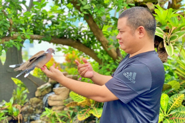 8X Đà Nẵng chi tiền tỷ mang rừng xanh lên nóc nhà để nuôi chim quý