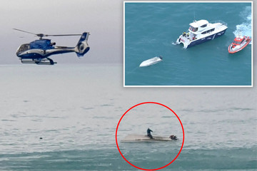 Thuyền du lịch bị cá voi húc lật khiến 5 người thiệt mạng