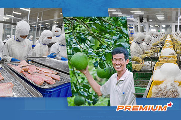 Nông sản Việt tiến sâu vào Mỹ
