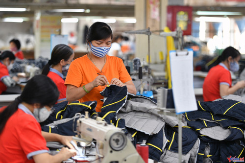 Survey finds Vietnamese workers have poor English language skills