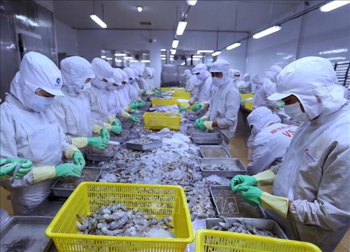 DOC maintains anti-dumping tariff on shrimp imports from Vietnam