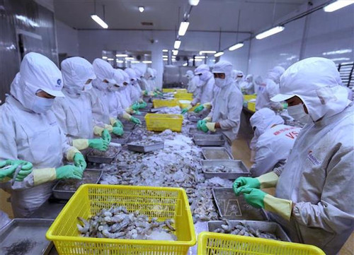 DOC maintains anti-dumping tariff on shrimp imports from Vietnam