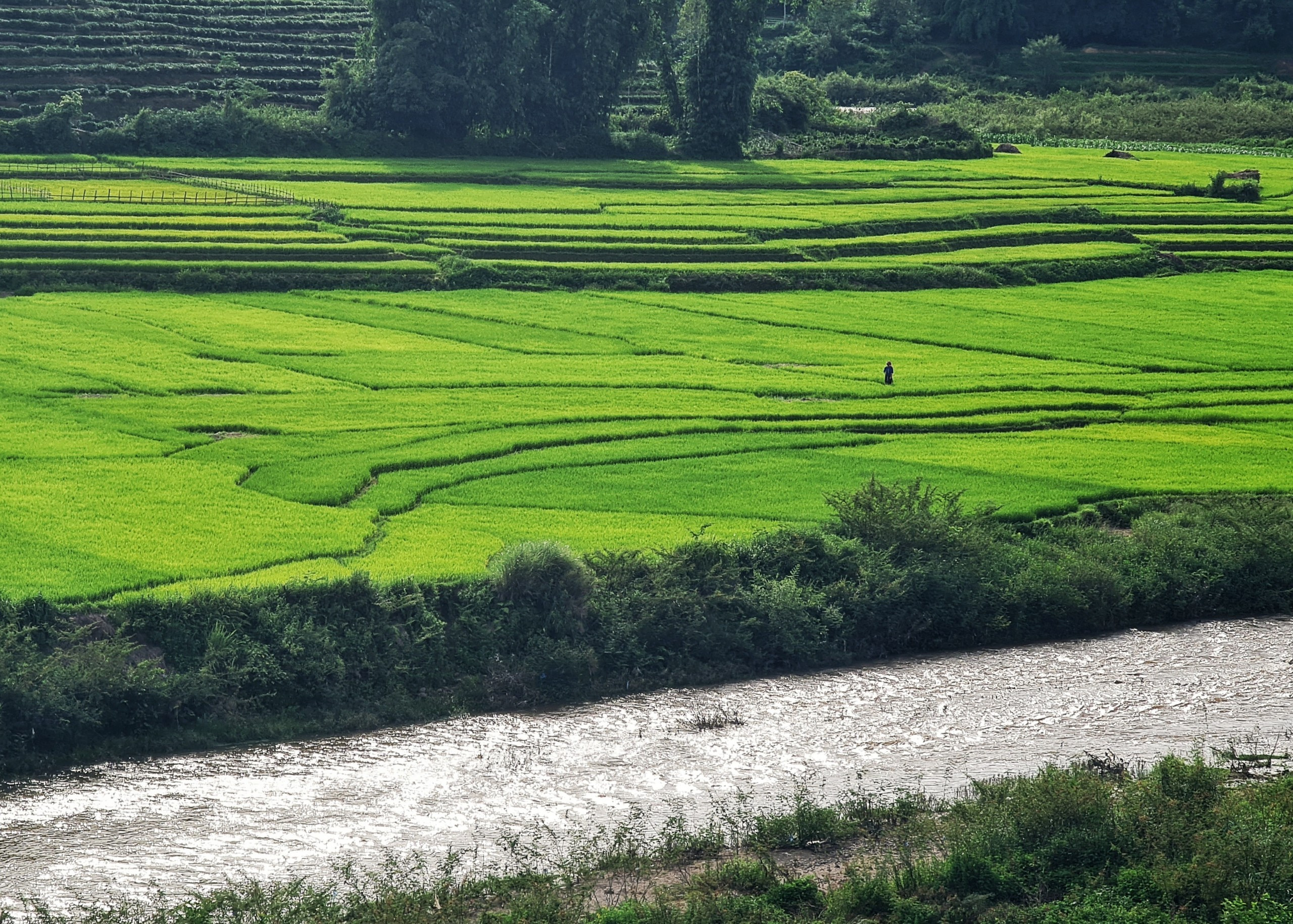 Tây Bắc đẹp mê hoặc độ sang thu