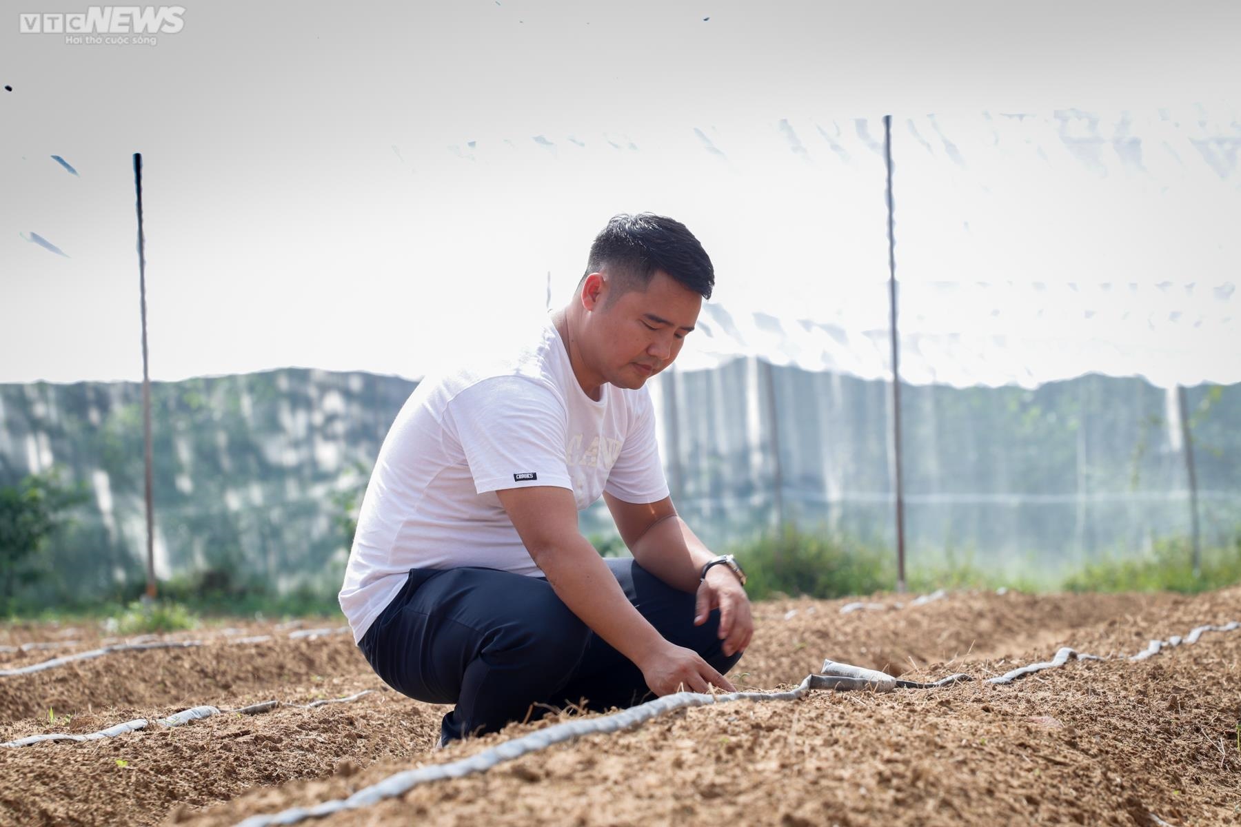 Ảnh: Mục sở thị khu vườn trồng loại ớt đắt nhất thế giới ở Hà Tĩnh - 9