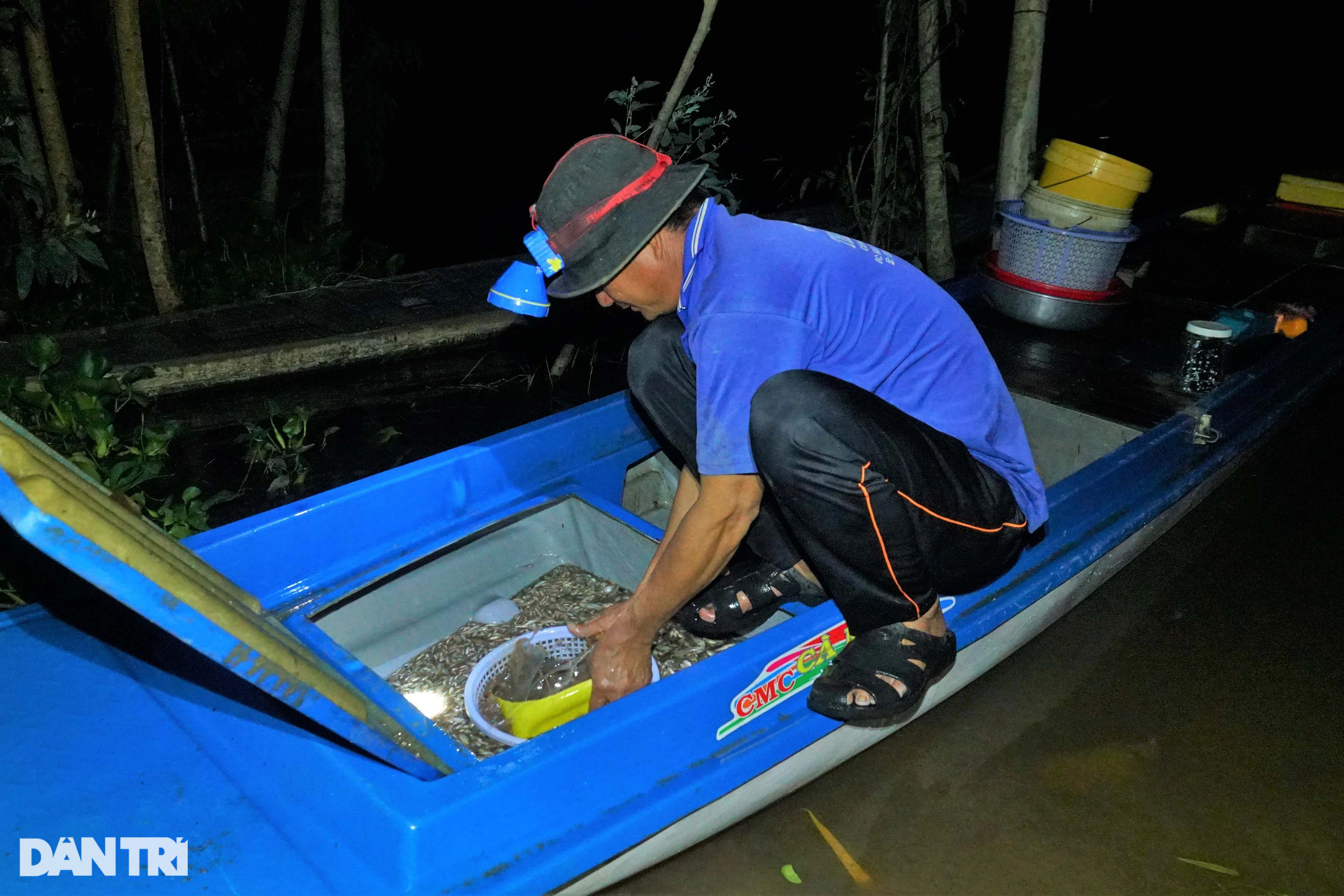 Phiên chợ cá âm phủ bán đặc sản mùa nước nổi ai thấy cũng ham - 3