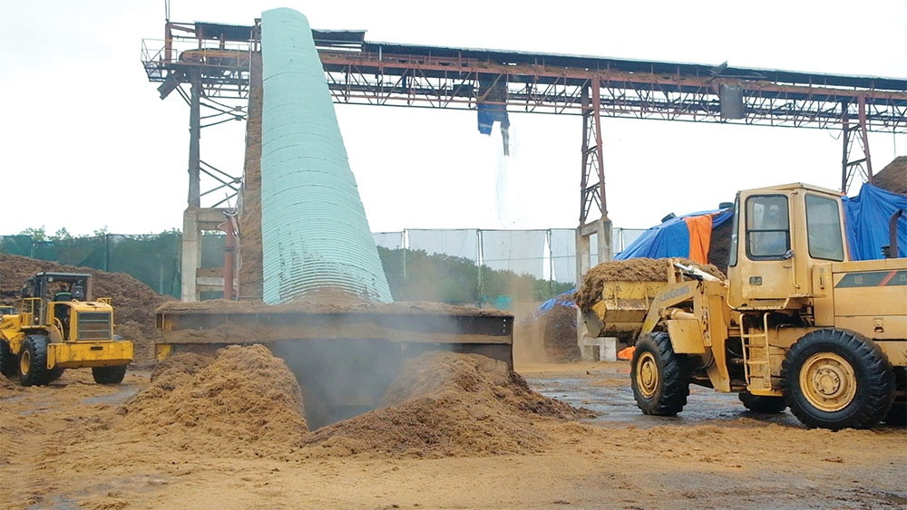 New feed-in tariff advocated for biomass energy bonanza