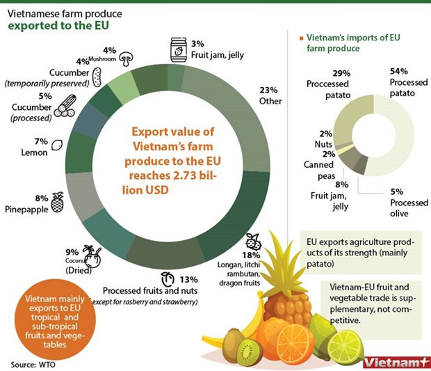 Vietnam’s quest to turn fruit export potential into power hinh anh 2