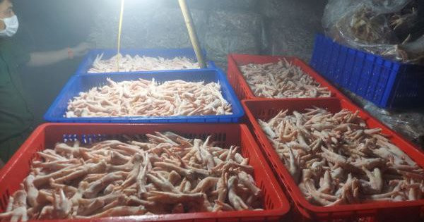 Đề xuất tiêu hủy hơn 3 tấn chân gà nhập lậu
