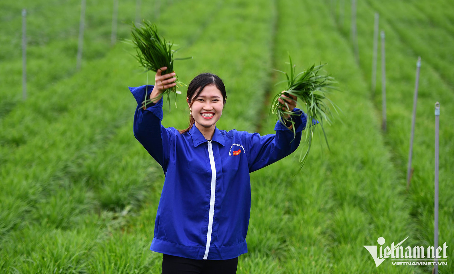 VN farmers to build brand value through improved cooperation