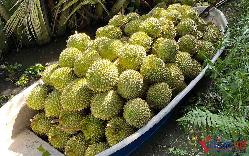 Dân Trung Quốc sính hàng hiệu, sầu riêng Việt vẫn đang vô danh