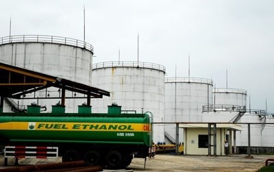 Ministry proposes tariff cuts to bring down petrol prices hinh anh 1