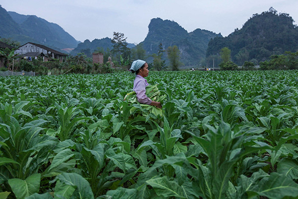 Thành tựu nổi bật trong công tác giảm nghèo