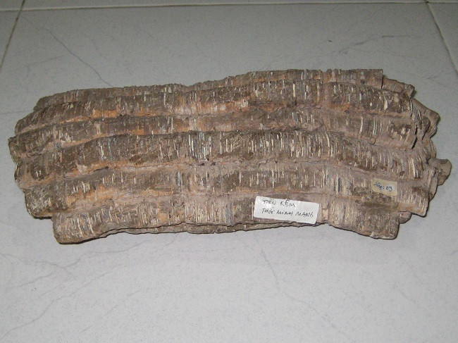 Bo suu tap tien co “doc nhat vo nhi” cua dai gia Sai Gon-Hinh-3