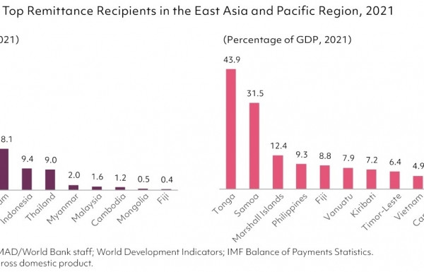 Cash flows into overseas Vietnamese homeland continue to support its rise