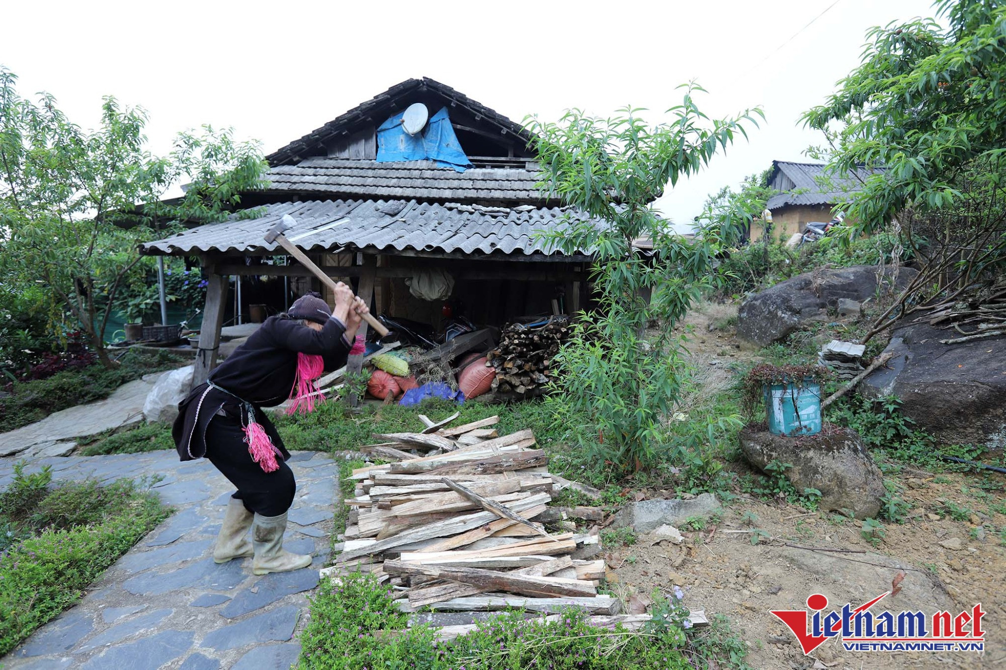 Lai Châu đẩy mạnh phát triển kinh tế và làm giàu từ rừng