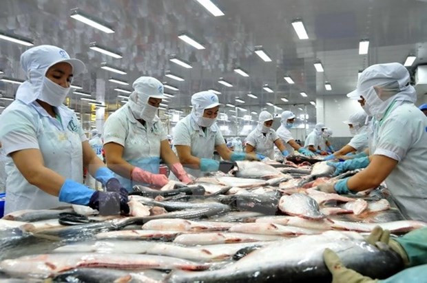 US maintains anti-dumping duties on Vietnam’s pangasius hinh anh 1