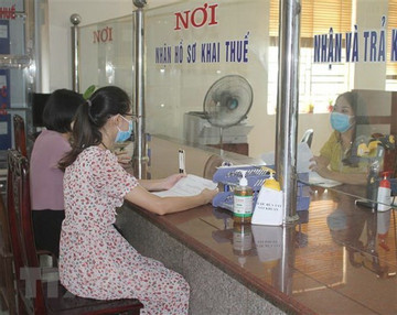 Hanoi City suggests travel ban on tax debtors